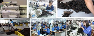 Fábrica de TedHair - fábrica de extensiones de cabello china