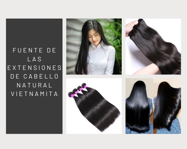 Fuente-de-las-extensiones-de-cabello-natural-vietnamita