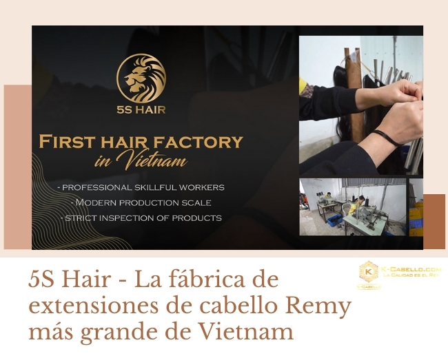 5S-Hair-La-fabrica-de-extensiones-de-cabello-Remy-mas-grande-de-Vietnam