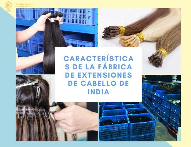 Caracteristicas-de-la-fabrica-de-extensiones-de-cabello-de-India