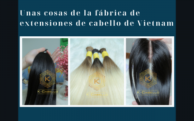 la-fabrica-de-extensiones-de-cabello-de-vietnam