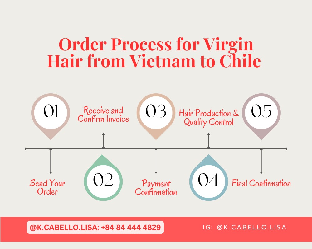¿Cómo puede importar Cabello Virgen de Vietnam a Chile? La guía completa
