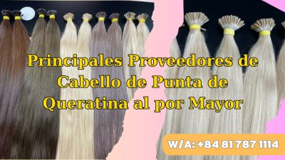 top-wholesale-keratin-tip-hair-vendors-1